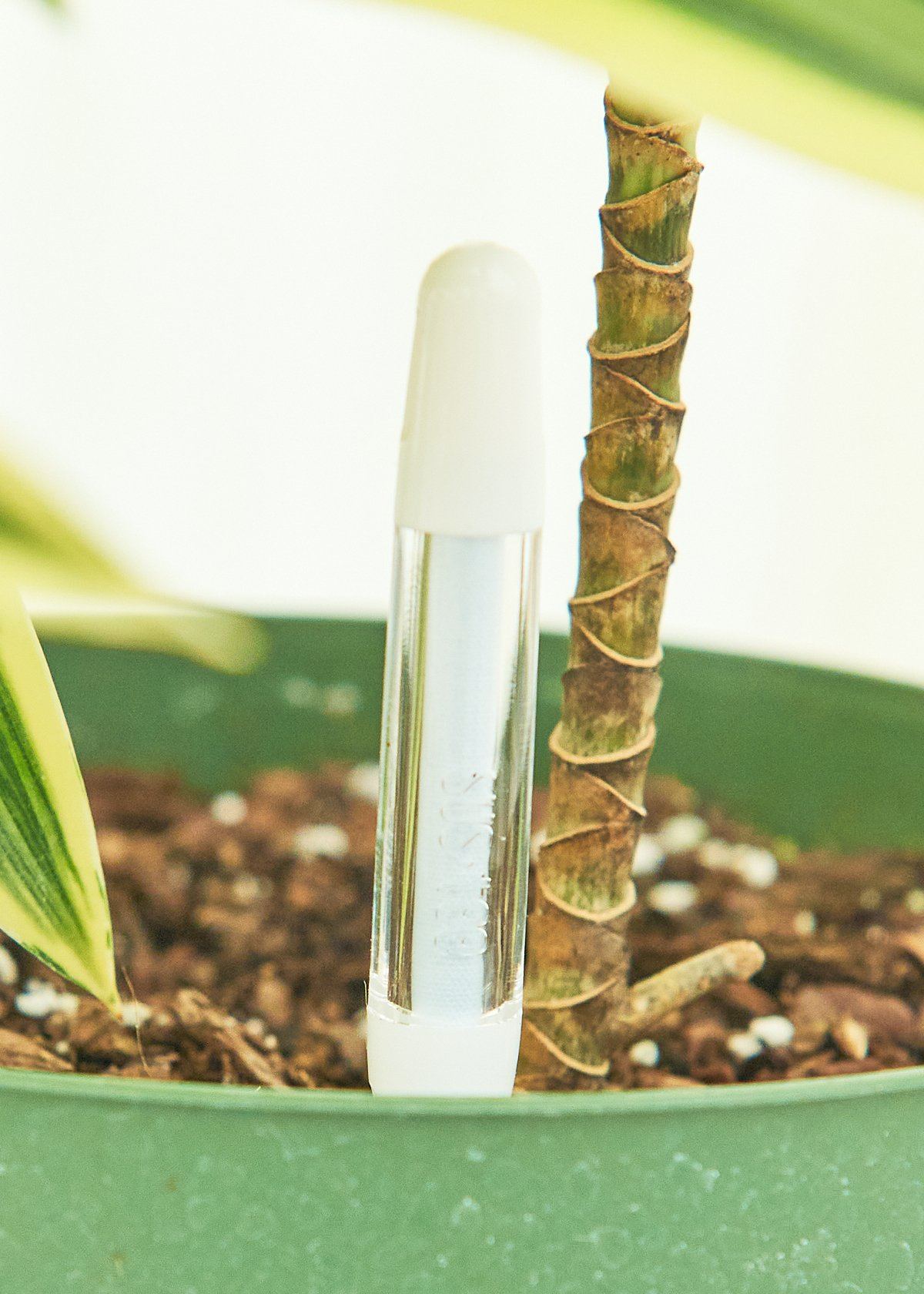dracaena moisture meter Moisture Meter, Small – plantywoo