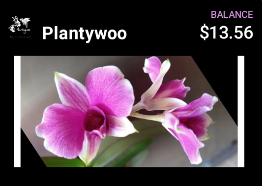 Plantywoo Gift Cards